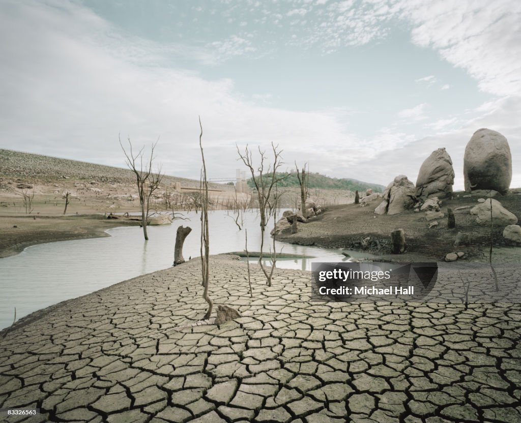 Climate Change is Inflicting Harm for us