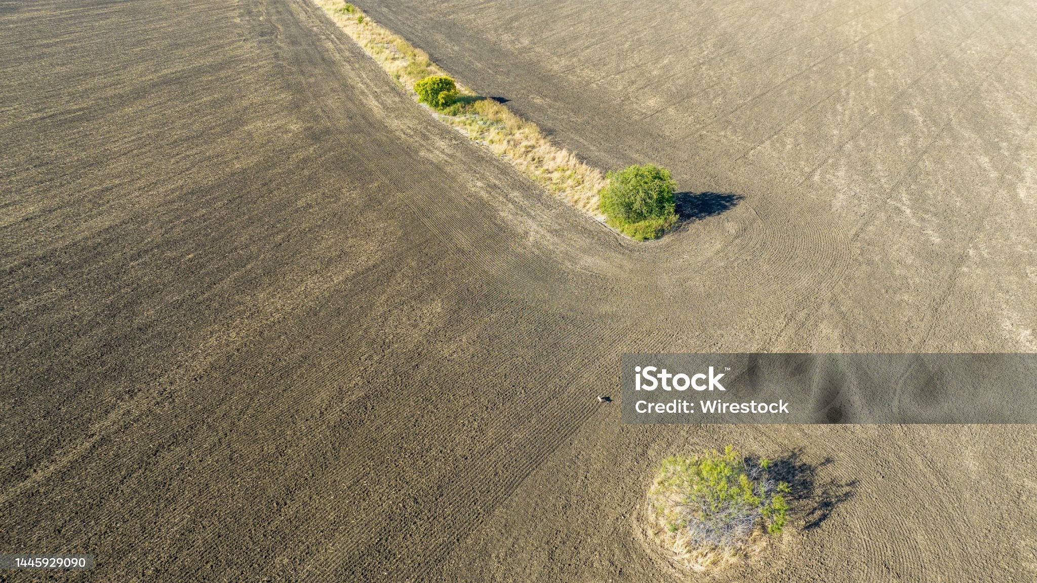 Global warming and its impact